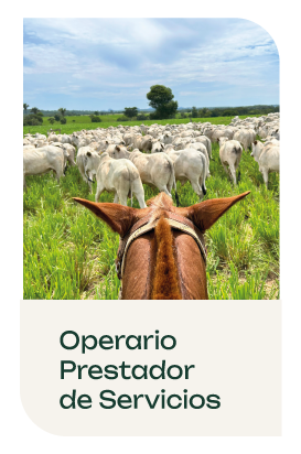 Operario Prestador de Servicios